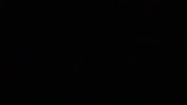 LT-333 – webcam model profile photo Image 6