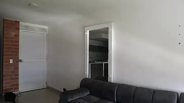 LT-333 – webcam model profile photo Image 8