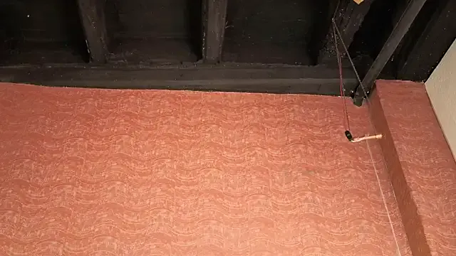 Zoey_it – webcam model profile photo Image 7