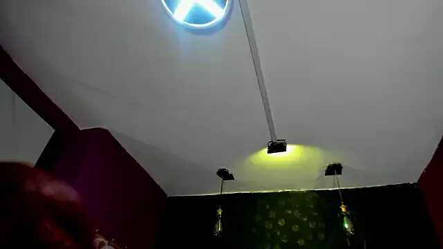 Alexa_Slave Image 17