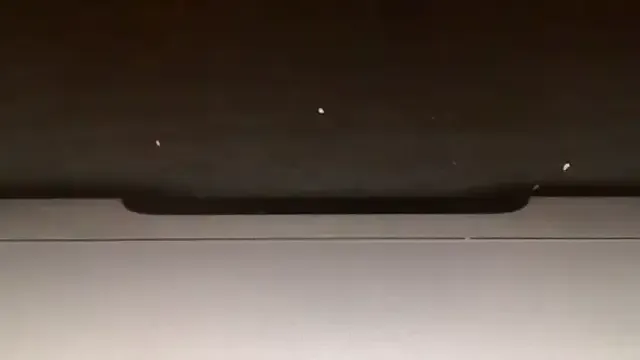 jamilaross – webcam model profile photo Image 4