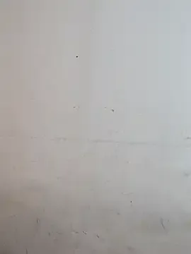 ManaMi-maru – webcam model profile photo Image 17