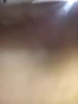 LT-333 – webcam model profile photo Image 16