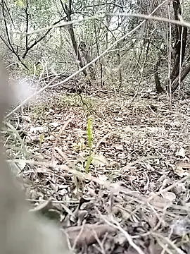 _chanMOMO_ – webcam model profile photo Image 10