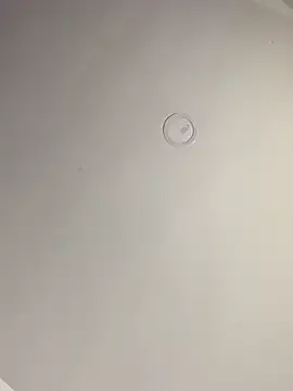 HotBella- – webcam model profile photo Image 14