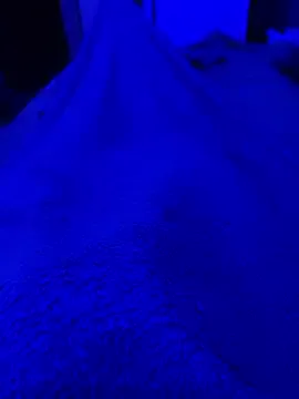 daddydiggg – webcam model profile photo