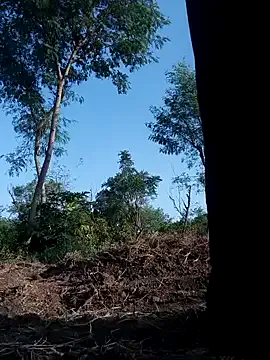 melana_love – webcam model profile photo Image 13