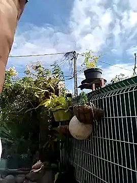 gwadaa9 on FreeCamNet