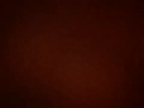 LoveOnStream – webcam model profile photo Image 13