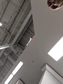 Bigdicktrick227 – webcam model profile photo Image 11