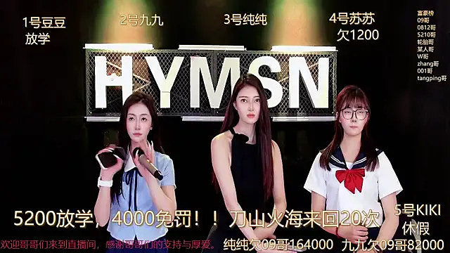 hymsv3333 Image 10