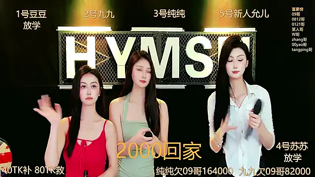 hymsv3333 Image 6