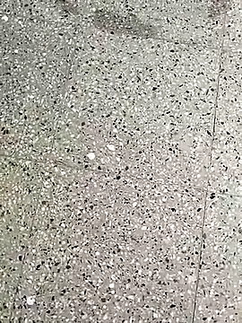 Kannada_siri_143 Profile Image