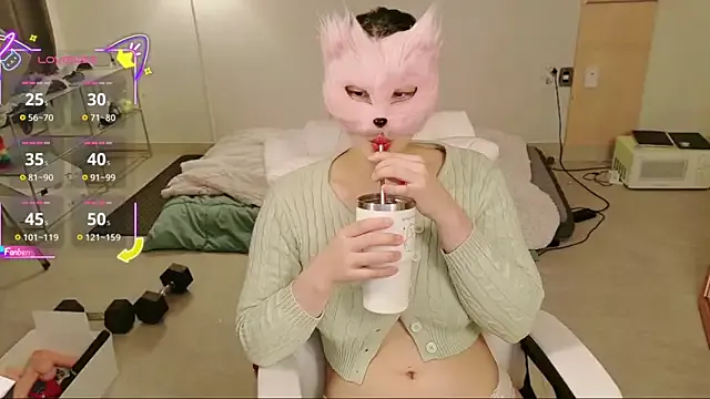 Kor_Cat Image 5