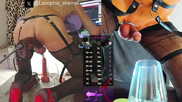 Lasofia Image 15