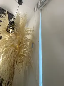 Sofia3393 on FreeCamNet Image 6