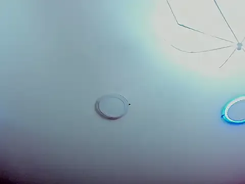 nina520 – webcam model profile photo Image 4