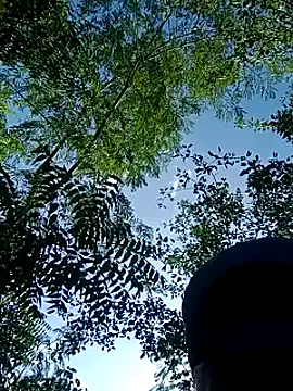 Nonchan_ – webcam model profile photo Image 7