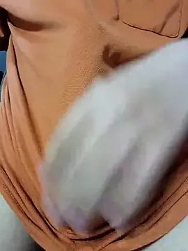 Humsafa-13 – webcam model profile photo Image 14