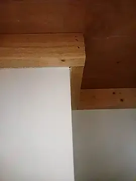 EvieEvans – webcam model profile photo Image 12