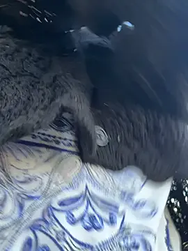 841_yayoi – webcam model profile photo Image 17