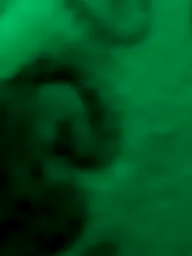 roouse – webcam model profile photo Image 2