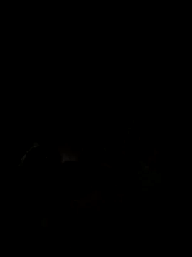 winter11 – webcam model profile photo Image 3