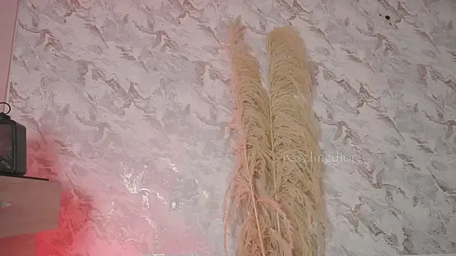 Linbaibai – webcam model profile photo Image 14