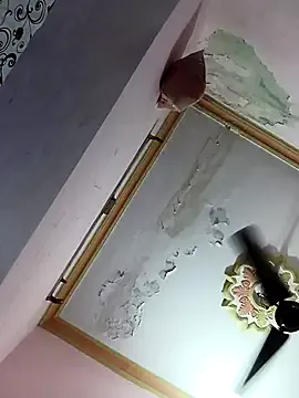 PumaShyXD – webcam model profile photo Image 13