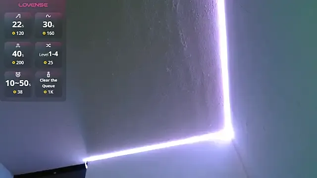 LT-333 – webcam model profile photo Image 10