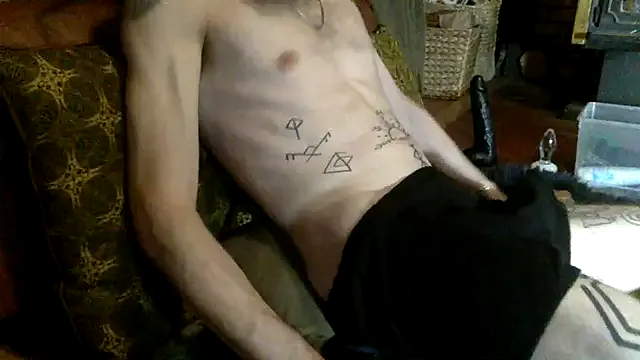 LT-333 – webcam model profile photo Image 4