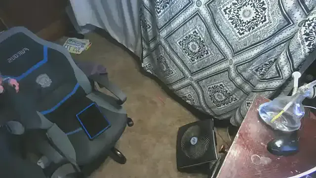 Iitaniee – webcam model profile photo Image 4