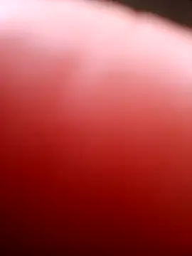 SEX_MACHINE_CUM Image 3