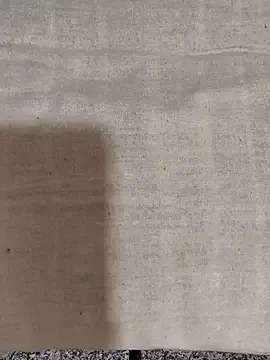 MondoNeko – webcam model profile photo Image 8