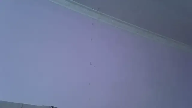 springbock56 – webcam model profile photo