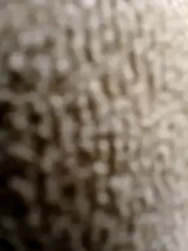 tami_lavanya's Thumb Image