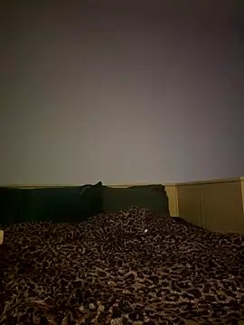 mbcaanna – webcam model profile photo Image 13