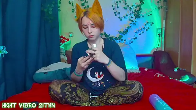 TrickyKitsune Image 16